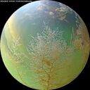 ./images/calvert/underwater/20260805/underwater20260805_193501M.jpg