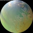./images/calvert/underwater/20260805/underwater20260805_194001M.jpg