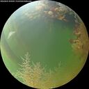 ./images/calvert/underwater/20260805/underwater20260805_202002M.jpg