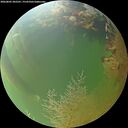 ./images/calvert/underwater/20260805/underwater20260805_202501M.jpg