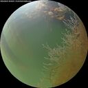 ./images/calvert/underwater/20260805/underwater20260805_205001M.jpg