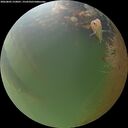 ./images/calvert/underwater/20260805/underwater20260805_210001M.jpg