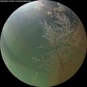 ./images/calvert/underwater/20260805/underwater20260805_211001M.jpg