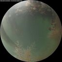 ./images/calvert/underwater/20260806/underwater20260806_060001M.jpg