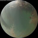 ./images/calvert/underwater/20260806/underwater20260806_060501M.jpg