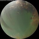 ./images/calvert/underwater/20260806/underwater20260806_061501M.jpg