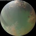 ./images/calvert/underwater/20260806/underwater20260806_062501M.jpg