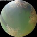 ./images/calvert/underwater/20260806/underwater20260806_070001M.jpg