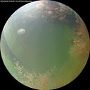./images/calvert/underwater/20260806/underwater20260806_070502M.jpg