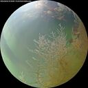 ./images/calvert/underwater/20260806/underwater20260806_072001M.jpg