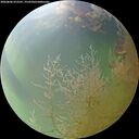 ./images/calvert/underwater/20260806/underwater20260806_072501M.jpg