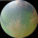 ./images/calvert/underwater/20260806/underwater20260806_073501M.jpg