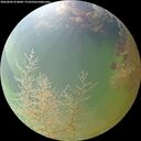 ./images/calvert/underwater/20260806/underwater20260806_074001M.jpg