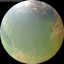 ./images/calvert/underwater/20260806/underwater20260806_074501M.jpg