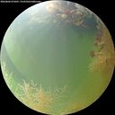 ./images/calvert/underwater/20260806/underwater20260806_075001M.jpg