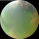 ./images/calvert/underwater/20260806/underwater20260806_075501M.jpg