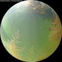 ./images/calvert/underwater/20260806/underwater20260806_080501M.jpg
