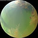 ./images/calvert/underwater/20260806/underwater20260806_081001M.jpg