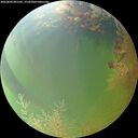 ./images/calvert/underwater/20260806/underwater20260806_081501M.jpg