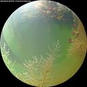 ./images/calvert/underwater/20260806/underwater20260806_082001M.jpg