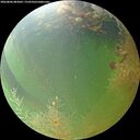 ./images/calvert/underwater/20260806/underwater20260806_083001M.jpg
