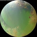 ./images/calvert/underwater/20260806/underwater20260806_083501M.jpg