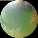 ./images/calvert/underwater/20260806/underwater20260806_085001M.jpg