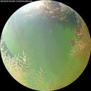 ./images/calvert/underwater/20260806/underwater20260806_091001M.jpg