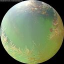 ./images/calvert/underwater/20260806/underwater20260806_091501M.jpg