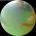 ./images/calvert/underwater/20260806/underwater20260806_092002M.jpg