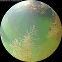 ./images/calvert/underwater/20260806/underwater20260806_092501M.jpg