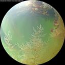 ./images/calvert/underwater/20260806/underwater20260806_093501M.jpg