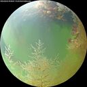 ./images/calvert/underwater/20260806/underwater20260806_094001M.jpg