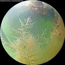 ./images/calvert/underwater/20260806/underwater20260806_094501M.jpg