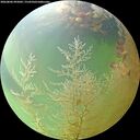 ./images/calvert/underwater/20260806/underwater20260806_095002M.jpg