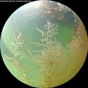 ./images/calvert/underwater/20260806/underwater20260806_095501M.jpg