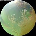 ./images/calvert/underwater/20260806/underwater20260806_100001M.jpg