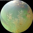 ./images/calvert/underwater/20260806/underwater20260806_101501M.jpg