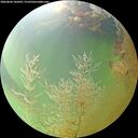 ./images/calvert/underwater/20260806/underwater20260806_102002M.jpg