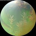 ./images/calvert/underwater/20260806/underwater20260806_102501M.jpg
