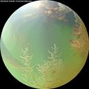 ./images/calvert/underwater/20260806/underwater20260806_103001M.jpg