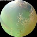 ./images/calvert/underwater/20260806/underwater20260806_103501M.jpg