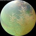 ./images/calvert/underwater/20260806/underwater20260806_104001M.jpg