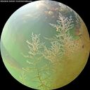 ./images/calvert/underwater/20260806/underwater20260806_104501M.jpg