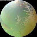 ./images/calvert/underwater/20260806/underwater20260806_105001M.jpg