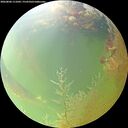 ./images/calvert/underwater/20260806/underwater20260806_111001M.jpg