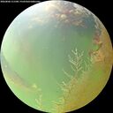 ./images/calvert/underwater/20260806/underwater20260806_111501M.jpg