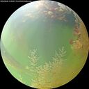 ./images/calvert/underwater/20260806/underwater20260806_112002M.jpg