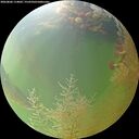 ./images/calvert/underwater/20260806/underwater20260806_114001M.jpg