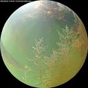 ./images/calvert/underwater/20260806/underwater20260806_114501M.jpg